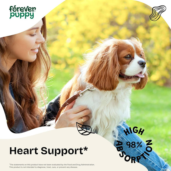 cardio-drops-for-dogs---heart-support-for-dogs-whawthorn-berry-motherwort-herb---liquid-antioxidant-supplement-wgotu-kola-leaves-lavender-extract---4-fl-oz-1