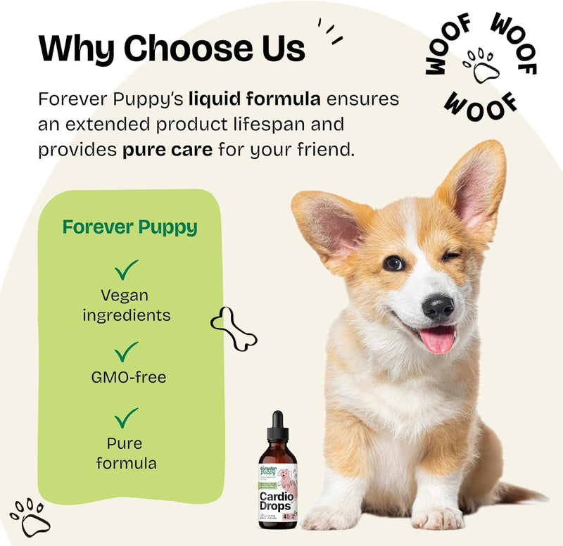 cardio-drops-for-dogs---heart-support-for-dogs-whawthorn-berry-motherwort-herb---liquid-antioxidant-supplement-wgotu-kola-leaves-lavender-extract---4-fl-oz-5