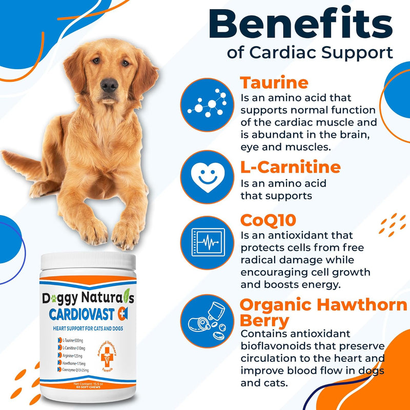 cardiovast-cardio-support-and-cardio-strength-supplement-for-dog-and-cats-l-taurine-l-carnitine-hawthorn-l-arginine-coenzyme-q10-supports-cardiovascular-heart-health---made-in-usa---60-soft-chew-4