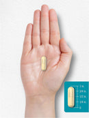 carlyle-chicken-sternum-cartilage-collagen-capsule-7.jpg
