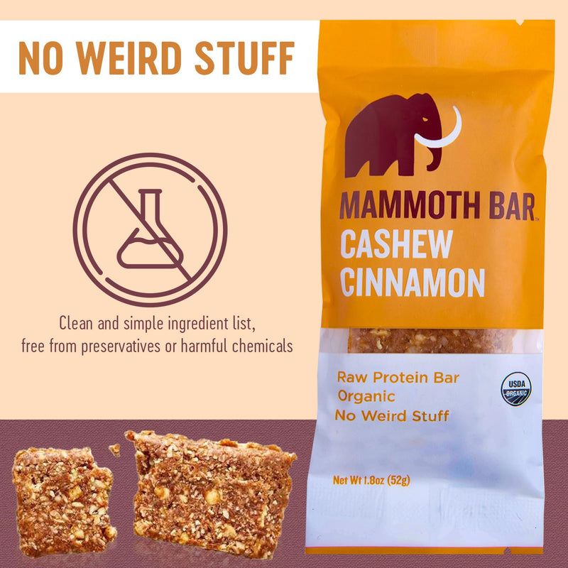 cashew-cinnamon-bar--organic-paleo-gluten-free-and-4.jpg