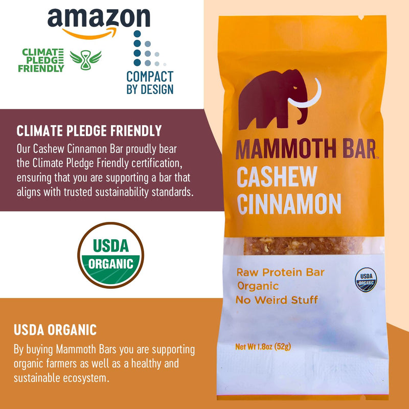 cashew-cinnamon-bar--organic-paleo-gluten-free-and-6.jpg