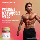 cellucor-creatine-powder-watermelon-flavor---incre-5.jpg