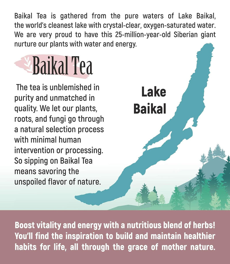 chaga-tea---100-wild-siberian-birch-chaga-mushroom-4.jpg