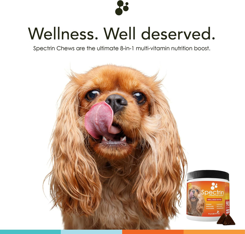 chew-vitamins-for-dogs-90-ct-glucosamine-for-joint-support-with-antioxidants-omega-3-vitamins-for-skin-liver-and-heart-health---spectrin-2
