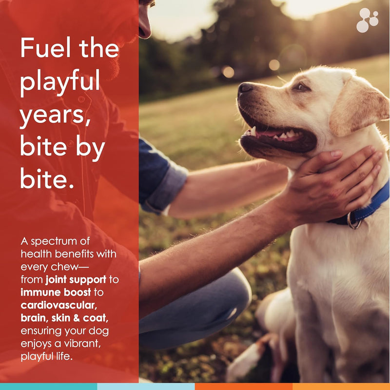 chew-vitamins-for-dogs-90-ct-glucosamine-for-joint-support-with-antioxidants-omega-3-vitamins-for-skin-liver-and-heart-health---spectrin-6