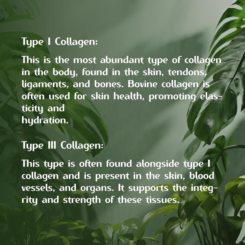 chicken-collagen-capsules---type-ii-collagen-nutri-6.jpg