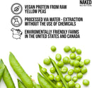 chocolate-pea-protein-isolate-from-north-american--2.jpg