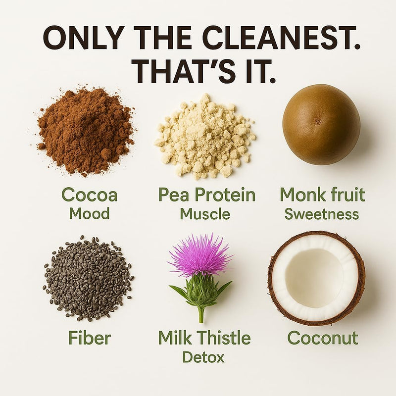 chocolate-vegan-protein-powder-20g-organic-plant-b-6.jpg