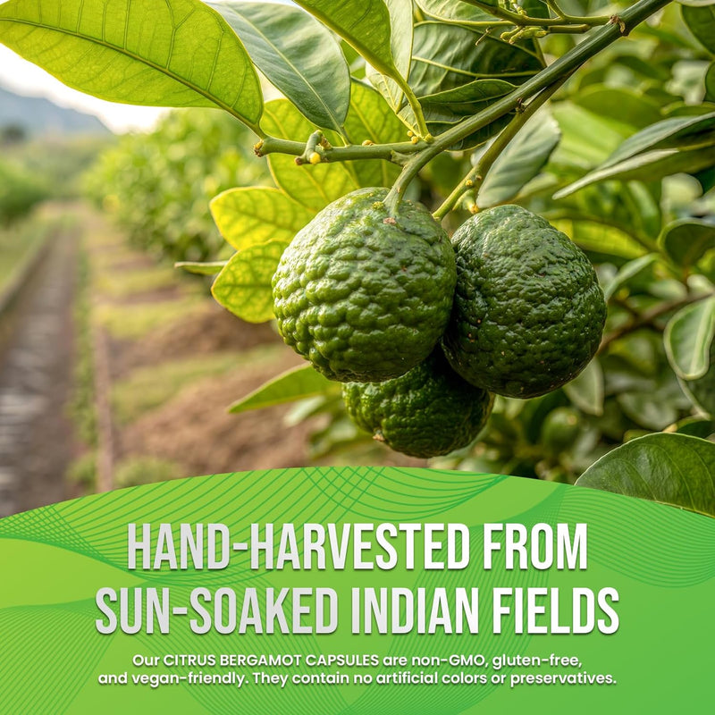 citrus-bergamot-capsules-1200mg-heart-cholesterol--2.jpg