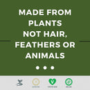 clean-bcaa---211-food-sourced-bcaas-powder-coconut-water-electrolytes-recovery-amino-energy-supplement---award-winning-vegan-amino-acid-supplement---30-servings---watermelon-3