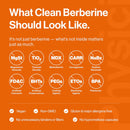 clean-label-berberine-ultra-pure-98-berberine-hcl--7.jpg