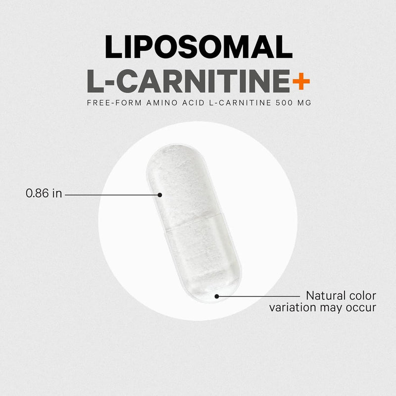 codeage-liposomal-l-carnitine-supplement---500-mg--8.jpg