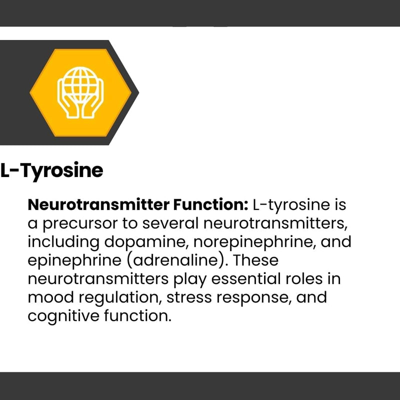 cognisync-nootropic-brain-health-supplement-60ct-12-powerful-ingredients-lions-mane-alpha-gpc-cognitive-enhancement-brain-fog-support-memory-support-smart-drug-alternative-6