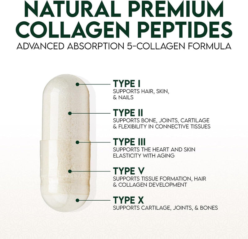 collagen-peptides-for-women-men---type-i-ii-iii-v--3.jpg