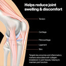 collagen-repair-joint-support-supplement---tendon-ligament-cartilage-repair---type-2-collagen-boswellia-turmeric-hyaluronic-acid-egcg---mobility-joint-pain-relief-supplement-4