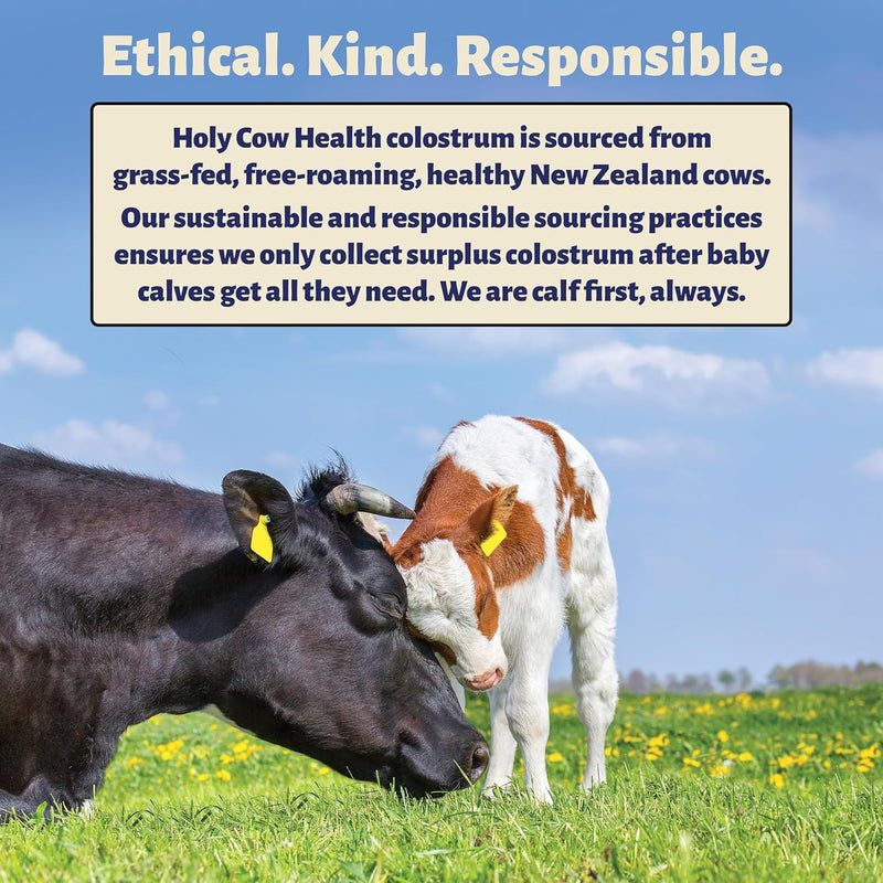 colostrum-capsules-pure-undiluted-highly-bioactive---ethically-sourced-from-new-zealand---supports-gut-health-immunity-overall-well-being-2