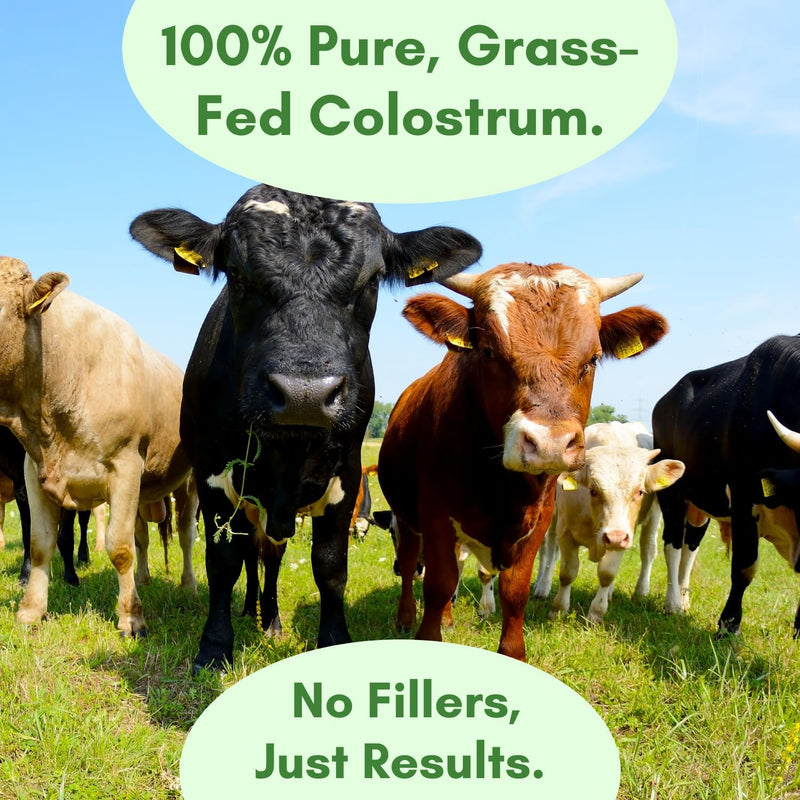 colostrum-powder-for-humans---premium-organic-colostrum-powder-with-high-igg-for-gut-health-immune-support-hair-skin-supplement-for-immunity-organic-grass-fed-bovine-colostrum-powder-60-servings-4