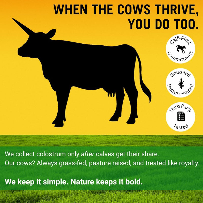 colostrum-powder-supplement---whole-cream-bovine-colostrum-for-gut-immune-support-grass-fed-usa-cows-cold-processed-natural-igg-colostrum-superfood-unflavored---53-oz-4