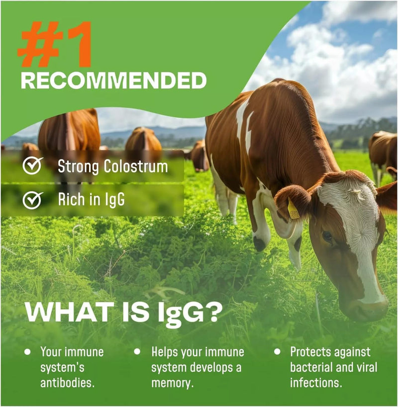 colostrum-premium-powder-300-servings-50-igg---first-4-6-hour-milking-grass-fed-colostrum---bovine-colostrum-gut-health-bloating-immunity-skin-hair-keto-gluten-fat-free-3