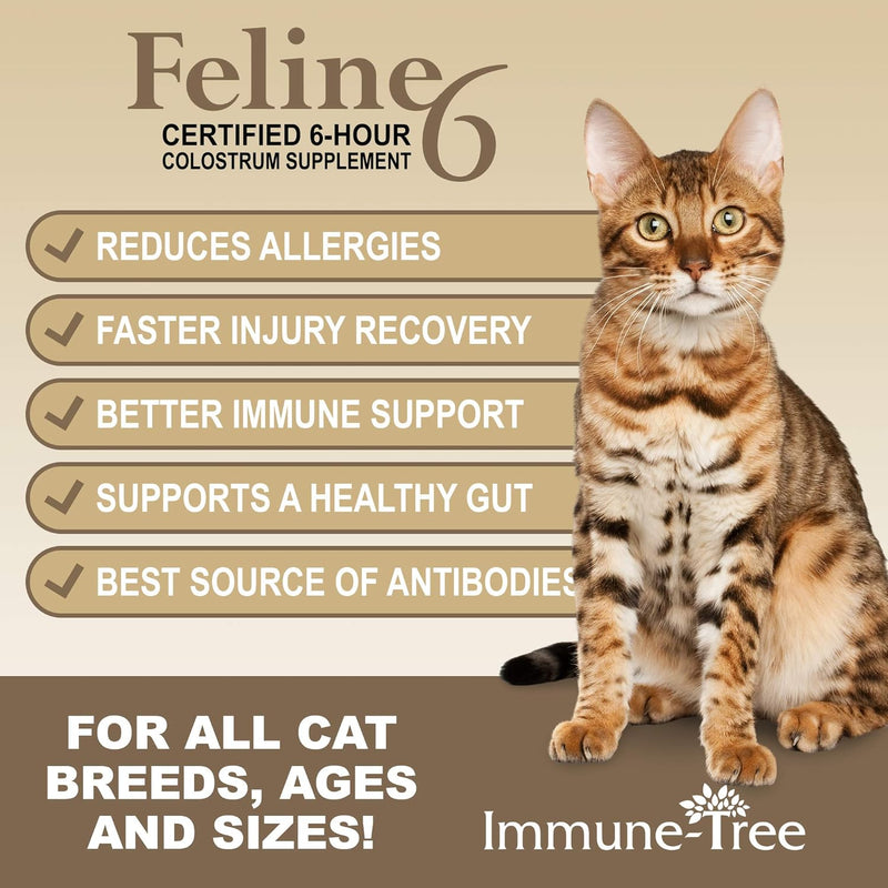 colostrum-probiotic-powder-for-cats-supplement-for-3.jpg