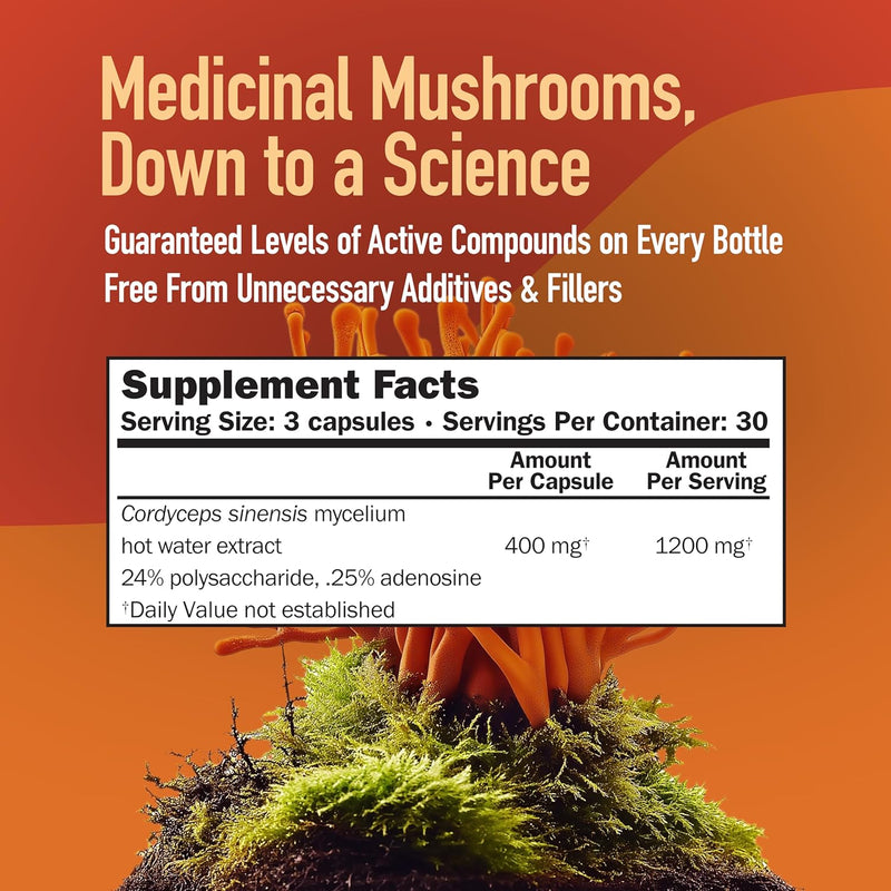 cordyceps-cs-4-capsules-full-spectrum-extract-for--2.jpg