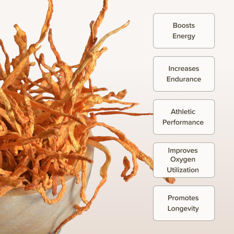 cordyceps-mushroom-capsules-by-bloomable-i-energy--2.jpg