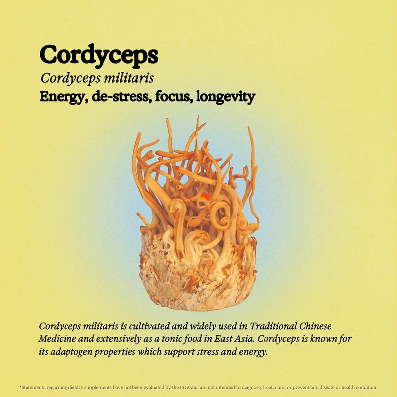 cordyceps-mushroom-tincture-alcohol-free-dual-extr-2.jpg