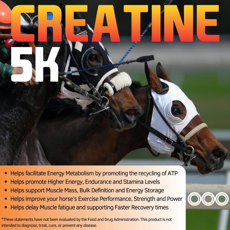 creatine-5k---energy-muscle-support-recovery-power-2.jpg