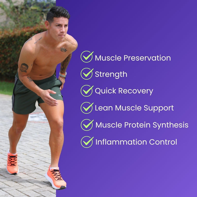 creatine-monohydrate-powder---omega-3-hmb---high-a-3.jpg