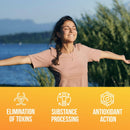 daily-liver-plus-liver-60-capsules-liver-cleanse-detox-support-supplement-with-milk-thistle-dandelion-turmeric-artichoke-for-enhanced-liver-health-repair---ideal-for-daily-use-3