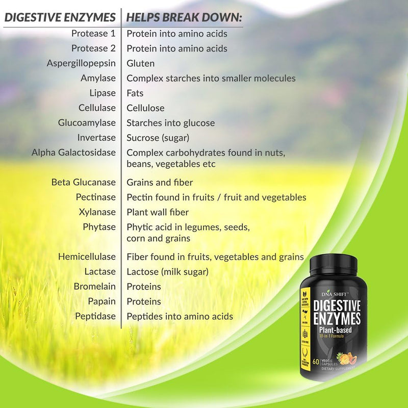 digestive-enzymes-for-men-and-women---enzymes-best-4.jpg