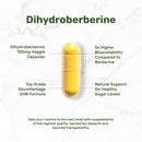dihydroberberine-100mg-per-serving-120-veggie-capsules-5x-more-bioavailable-than-berberine-hcl-heart-health-supplement-glucovantage-formula-vegan-non-gmo-2
