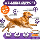 dog-multivitamin-chewable---dog-vitamins-and-supplements-with-glucosamine---170-chews---hip-joint-pet-immune-support-skin-coat-gut-heart-health---senior-puppy-multivitamin-pet-supplement-4