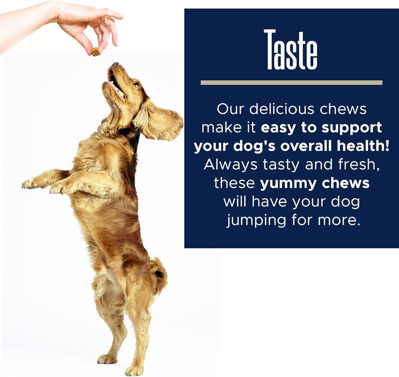 dog-multivitamin-supplement---120-soft-chew-dog-vitamins-and-supplements-with-omega-probiotics-glucosamine-and-more---for-small-large-and-senior-dogs-7
