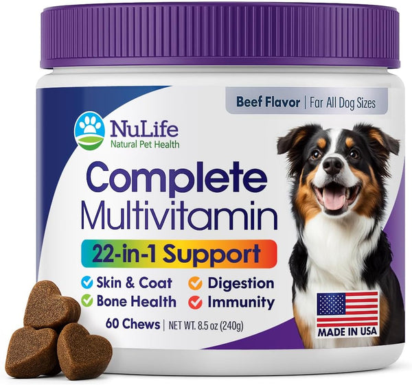 dog-multivitamin-supplement-22-in-1-support-for-immune-system-skin-coat-joints-overall-health-vitamins-a-b-c-d-e-k-minerals-antioxidants---60-chews---beef-flavor-1
