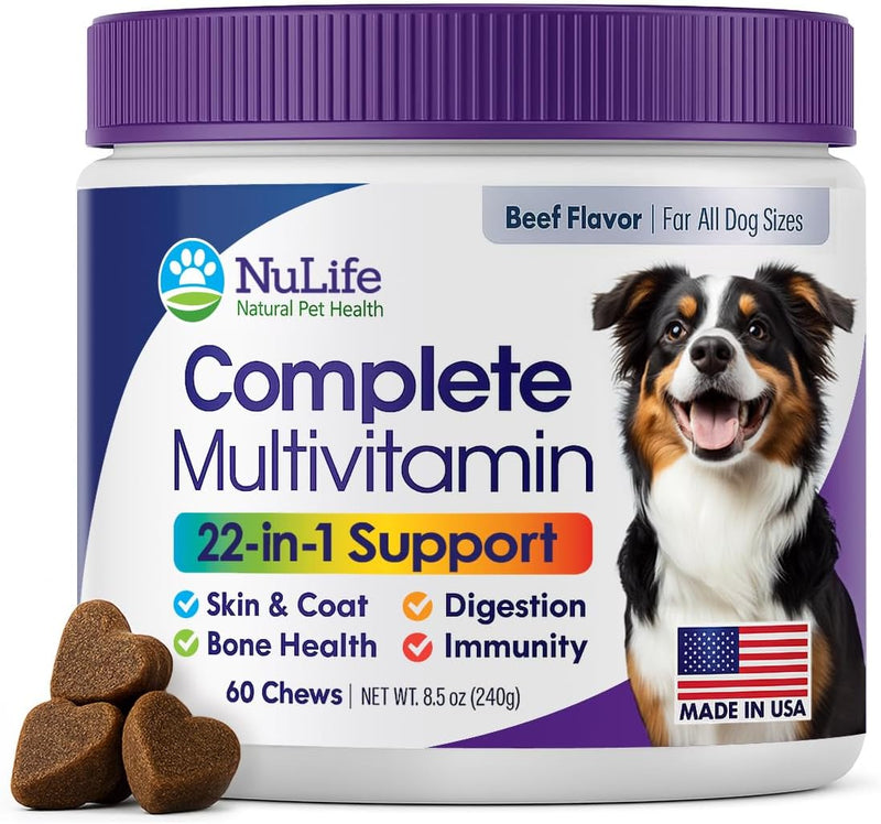 dog-multivitamin-supplement-22-in-1-support-for-immune-system-skin-coat-joints-overall-health-vitamins-a-b-c-d-e-k-minerals-antioxidants---60-chews---beef-flavor-1