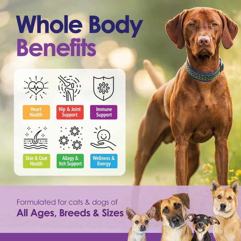 dog-multivitamin-supplement-22-in-1-support-for-immune-system-skin-coat-joints-overall-health-vitamins-a-b-c-d-e-k-minerals-antioxidants---60-chews---beef-flavor-3