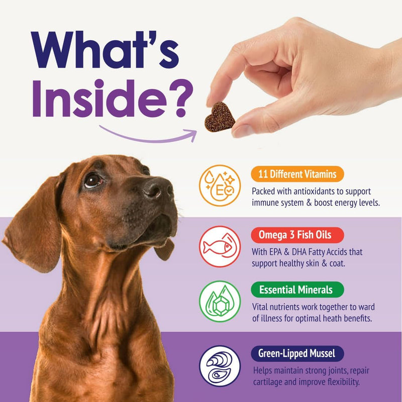 dog-multivitamin-supplement-22-in-1-support-for-immune-system-skin-coat-joints-overall-health-vitamins-a-b-c-d-e-k-minerals-antioxidants---60-chews---beef-flavor-4