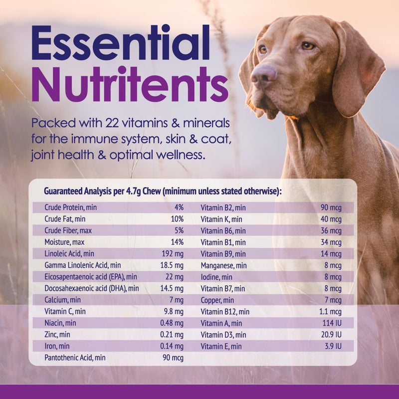 dog-multivitamin-supplement-22-in-1-support-for-immune-system-skin-coat-joints-overall-health-vitamins-a-b-c-d-e-k-minerals-antioxidants---60-chews---beef-flavor-5
