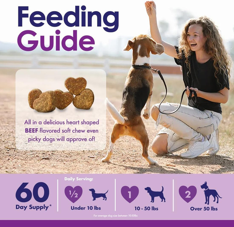 dog-multivitamin-supplement-22-in-1-support-for-immune-system-skin-coat-joints-overall-health-vitamins-a-b-c-d-e-k-minerals-antioxidants---60-chews---beef-flavor-6