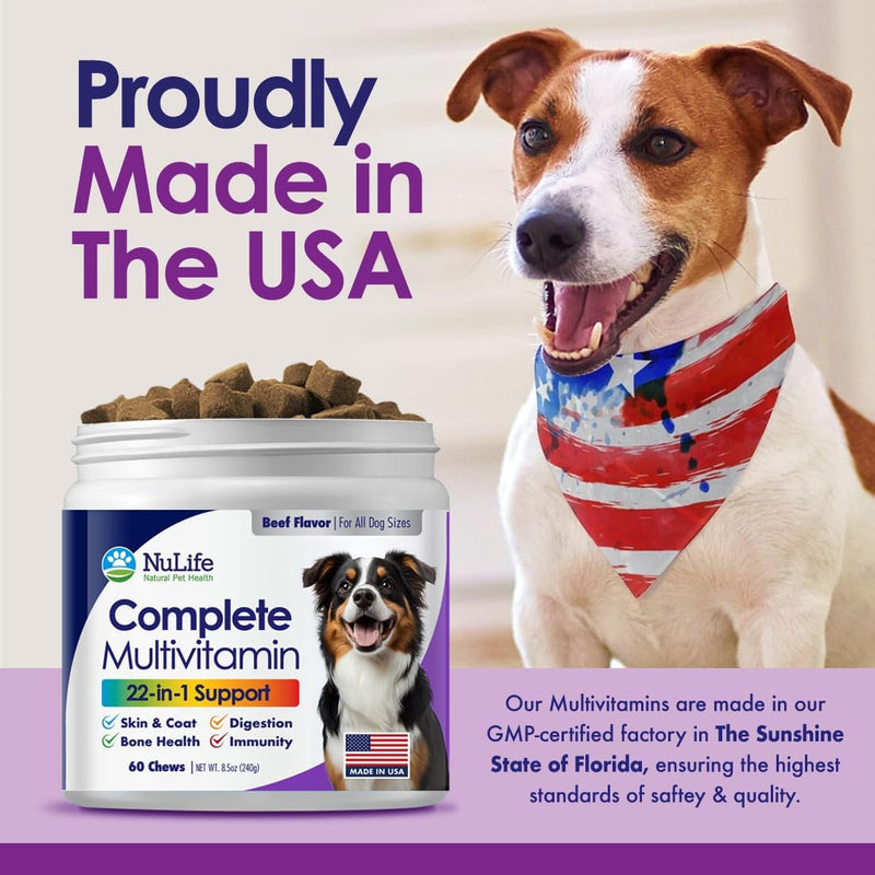 dog-multivitamin-supplement-22-in-1-support-for-immune-system-skin-coat-joints-overall-health-vitamins-a-b-c-d-e-k-minerals-antioxidants---60-chews---beef-flavor-7