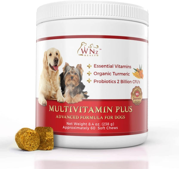 dog-multivitamins-and-supplements-probiotics-for-dogs-wturmeric-yucca-probiotic-dog-chews-for-brain-function-gut-immune-support-joint-health-anti-inflammatory-supplement-60-chews-84-oz-1