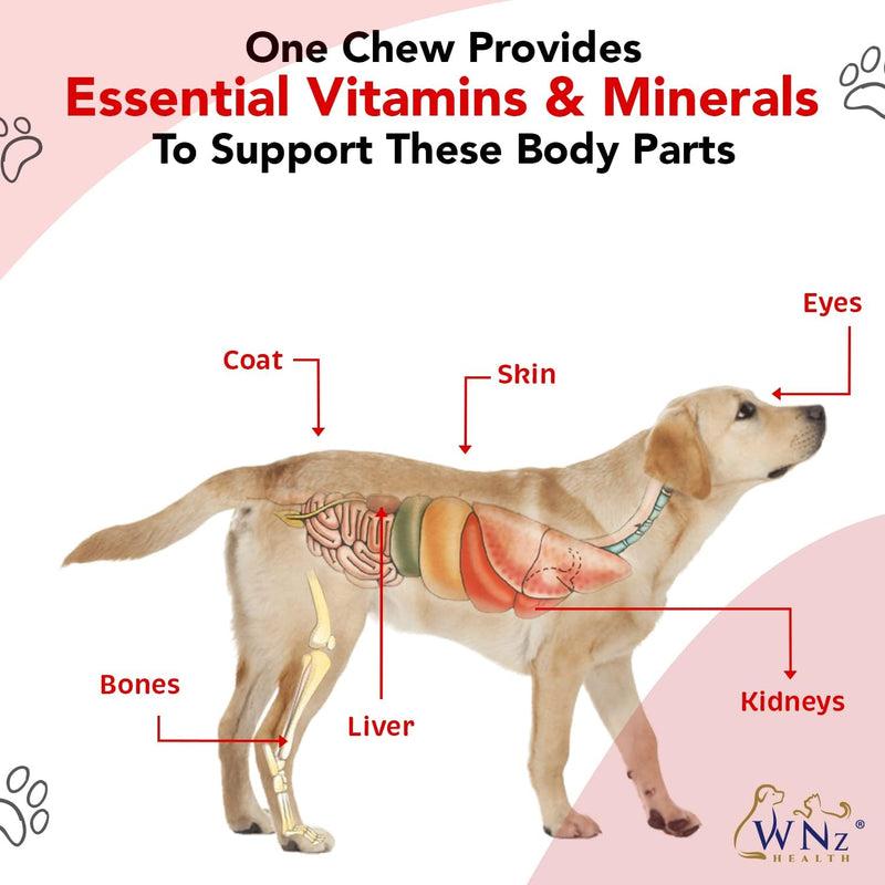 dog-multivitamins-and-supplements-probiotics-for-dogs-wturmeric-yucca-probiotic-dog-chews-for-brain-function-gut-immune-support-joint-health-anti-inflammatory-supplement-60-chews-84-oz-6