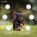 dog-multivitamins-with-probiotics-glucosamine-and-omega-3-for-immune-support-digestive-health-joint-care-skin-coat-and-overall-wellness-200-freeze-dried-chews-2