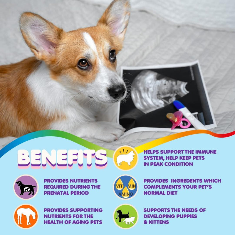 dog-prenatal-vitamins-multivitamin-folic-acid-calcium-iron-minerals-and-amino-acids-ideal-for-pregnant-breastfeeding-and-newborn-pets-senior-dog-supplement-complete-puppy-multi-vitamin-4