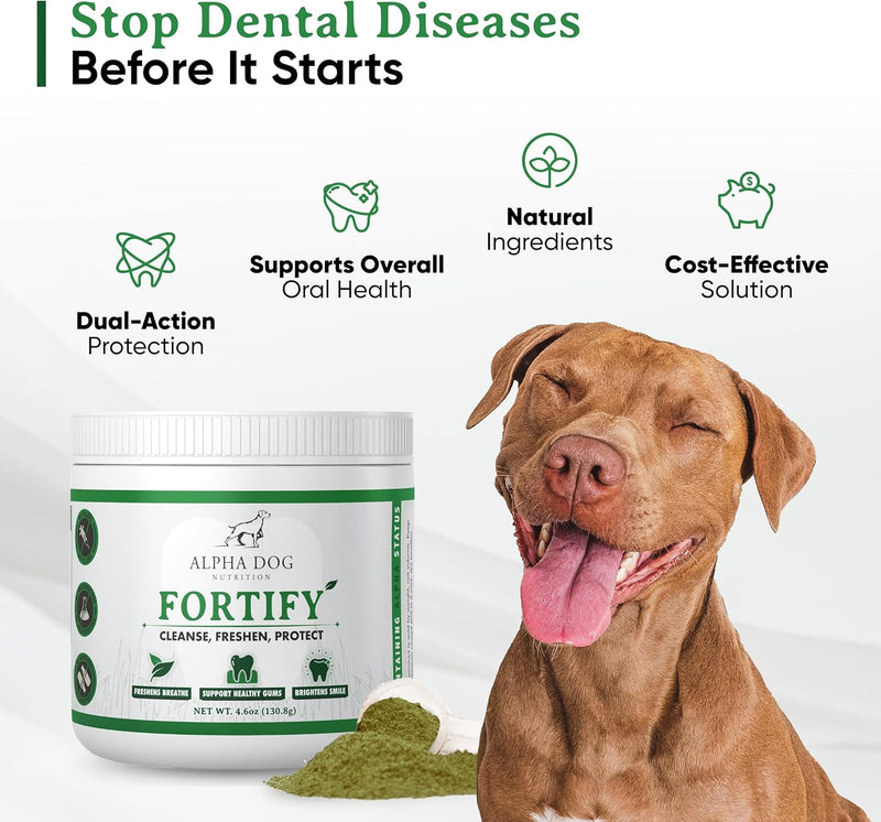 dog-teeth-cleaning-powder---fortify-dental-powder-for-dogs---plaque-remover-and-freshens-bad-breath-with-fresh-green-supplements---contains-kelp-probiotics-and-other-tooth-cleaning-ingredients-2