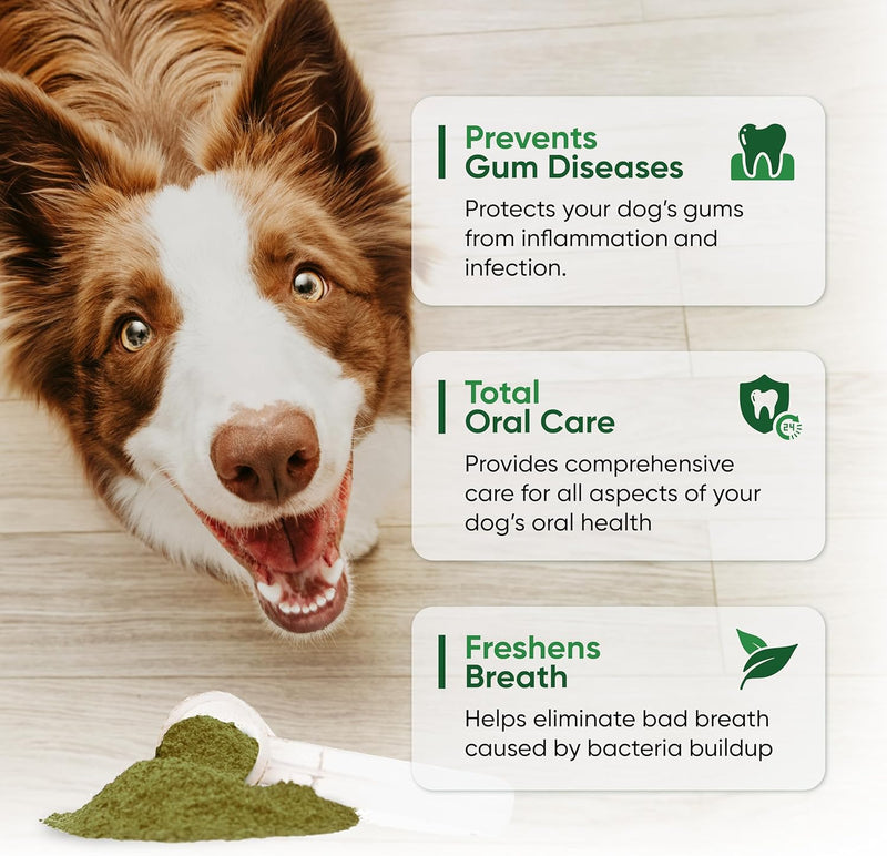 dog-teeth-cleaning-powder---fortify-dental-powder-for-dogs---plaque-remover-and-freshens-bad-breath-with-fresh-green-supplements---contains-kelp-probiotics-and-other-tooth-cleaning-ingredients-3