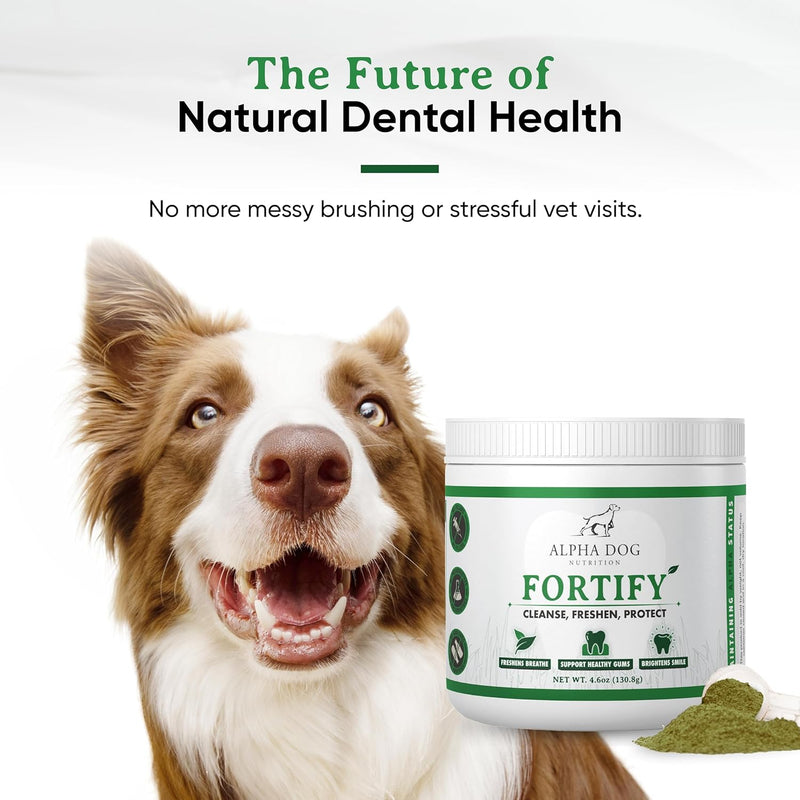 dog-teeth-cleaning-powder---fortify-dental-powder-for-dogs---plaque-remover-and-freshens-bad-breath-with-fresh-green-supplements---contains-kelp-probiotics-and-other-tooth-cleaning-ingredients-7