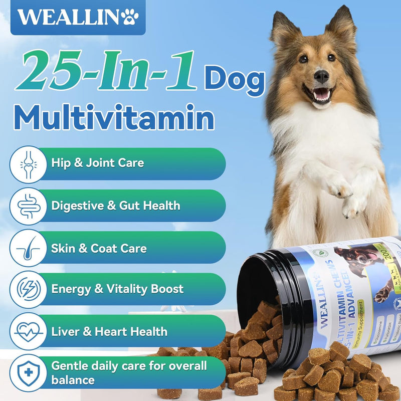 dog-vitamins---25-in-1-dog-vitamins-and-supplements-multivitamin-with-glucosamine-probiotics-omega-3-puppy-multivitamin-chewable-for-coat-heart-hips-joints-digestion-immune-system-200pcs-2